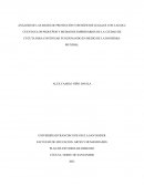 ANÁLISIS DE LAS BASES DE PROTECCIÓN Y BENEFICIOS LEGALES CON LAS QUE CUENTAN LOS PEQUEÑOS Y MEDIANOS EMPRESARIOS DE LA CIUDAD DE CÚCUTA