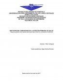 Participación comunitaria en atención primaria de salud