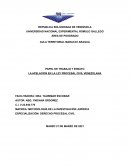 La apelación en el proceso