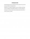 Características del idioma Quchua