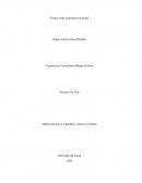 Proyecto De Vida Administración en seguridad y salud en el trabajo