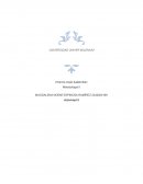 PSICOLOGÍA SABATINO Metodologia