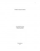 El futbol a lo largo de la historia