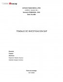 LA EMPRESA SAP