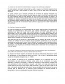 ¿Cuáles son los derechos fundamentales en juego en las sentencias analizadas?