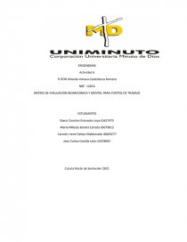 MATRIZ DE EVALUACION BIOMECÁNICA Y MENTAL PARA PUNTOS DE TRABAJO. Página 1