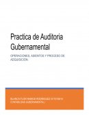 PRÁCTICA DE AUDITORIA GUBERNAMENTAL