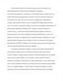 Mapa conseptual efecto orexigénico