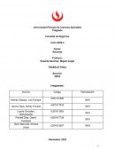 Trabajo final - ADUANAS