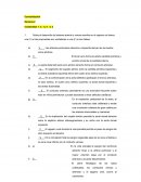 Consolidacion morfologia nro 4