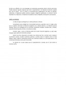 Reflexiones sobre la vida de Jorge Luis Borges