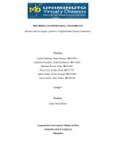 DESARROLLO EMPRESARIAL COLOMBIANO