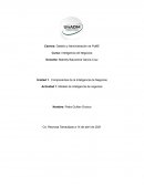 Actividad 1. Modelo de inteligencia de negocios