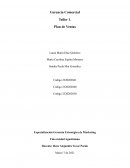 Gerencia Comercial . Plan de Ventas Nidoo S.A.S