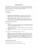 Contitucion politica