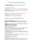 PC2 INDIVIDUO Y MEDIO AMBIENTE