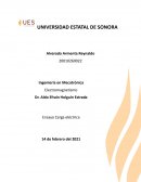 Ensayo Carga Electrica