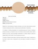 Informe pedagogico