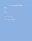 Actividad integradora, Contaminación del agua.