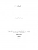 Contabilidad hasta Nuestra Época