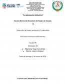 DIFICULTADES DE APRENDIZAJE EN EL SISTEMA SOLAR PARA ALUMNOS DE PRIMARIA