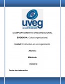 Cultura organizacional. Unidad 3: Estructura en una organización