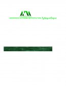 Formación del Estado Moderno