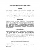 Proceso integral para el desarrollo de nuevos productos