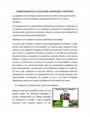 CONSECUENCIAS DE LA EVOLUCIÓN. ADAPTACIÓN Y EXITINCIÓN