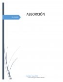 ANALISIS TERMICO CaO