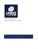 Fundamentos de Administración. Importancia de las áreas funcionales de la empresa