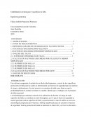 Estabilidad de un talud para 3 superficies de falla Ingeniería geotécnica