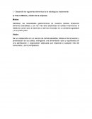 Direccion estrategica