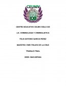 Criminologia,El tráfico de niñas, niños en el estado de tabasco