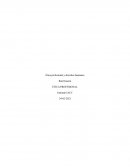 Ética profesional y derechos humanos