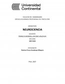 Procesos cognitivos