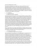 ANALISTA DE ORGANIZACIÓN Y SISTEMAS