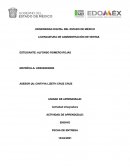 DESARROLLO DE LA ACTIVIDAD LA APLICACIÓN DEL DERECHO EN MÉXICO