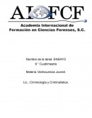 Delincuencia Juvenil: una ocupación que afecta a muchas otras