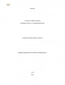 IMPACTO ECONOMICO DURANTE LA PANDEMIA EN SANTANDER