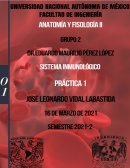 PRÁCTICA 1: SISTEMA INMUNE