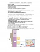 CUESTIONARIO DE FISIOLOGÍA 1: INTRODUCCIÓN A LA FISIOLOGÍA