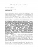 Producción de carbón activado a partir de biomasa