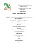 Planeación y manual de señalética