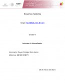 Bioquímica de la nutrición