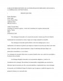 LAS ESTRATEGIAS DE MERCADEO APLICADAS A LA EMPRESA