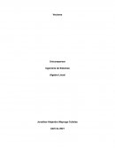 Algebra lineal. Vectores