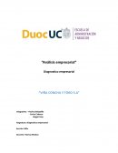 Diagnostico empresarial “VIÑA CONCHA Y TORO S.A”