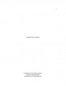 Introducción a la administración empresa Tomates Rojos