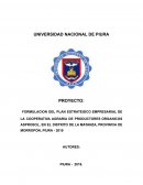 PROYECTO: FORMULACION DEL PLAN ESTRATEGICO EMPRESARIAL